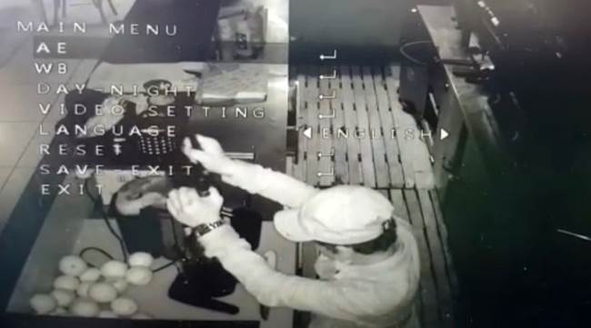 Hırsız para bulamayınca portakal sıktı...