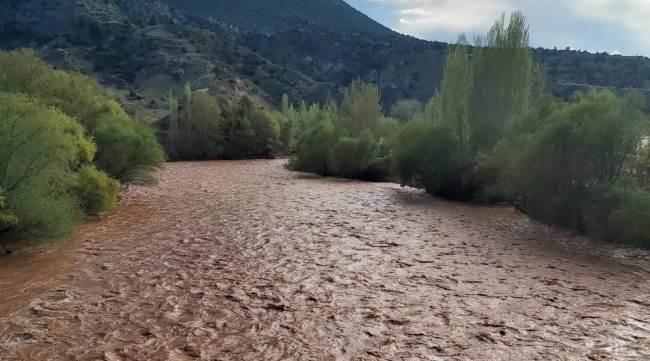 İsyan ettiren görüntü