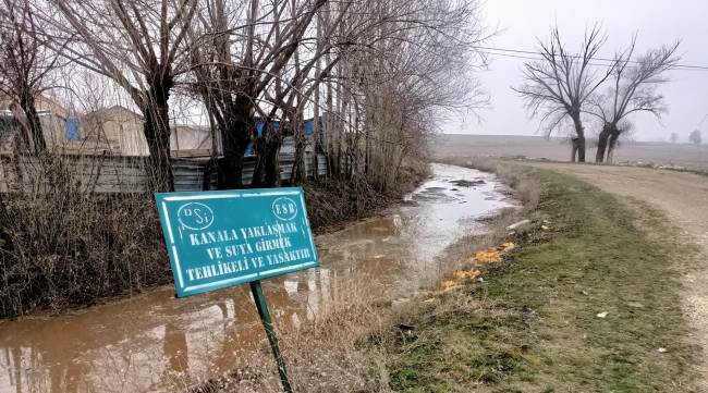 KANALA ATILAN HAYVAN PİSLİKLERİ İSYAN ETTİRDİ