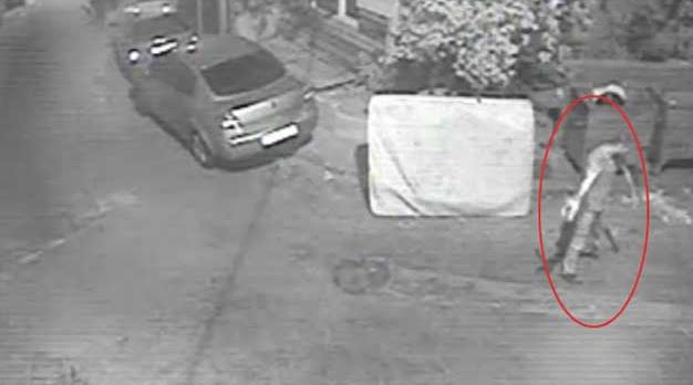 Kediyi bıçaklayıp yere vura vura öldürdü