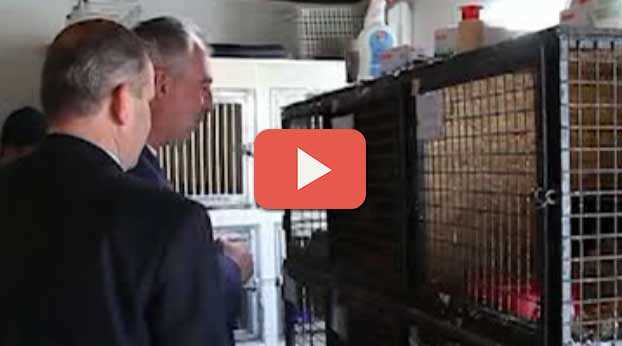 KIRSAL ÇALIŞMALAR ÖRNEK OLUYOR