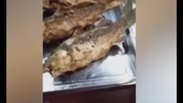 Kızarmış balık herkesi şaşkına çevirdi...