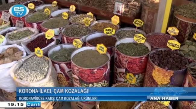 Koronavirüse karşı çam kozalağı ürünleri