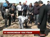 51 MAHKUMDAN 1500 FİDAN