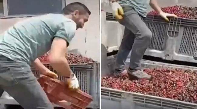 Mide bulandıran görüntüler!