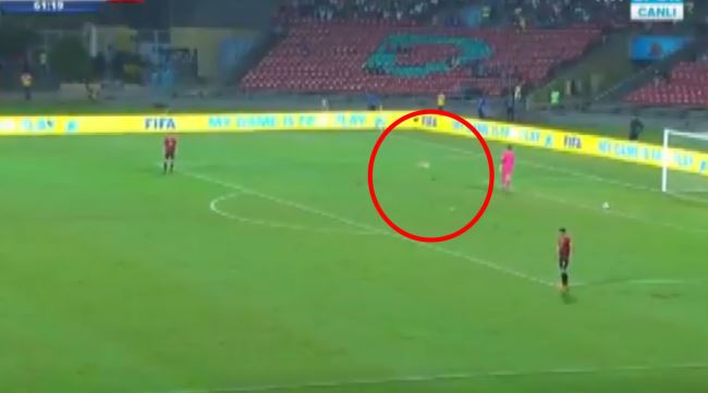 Milli maçta sahaya davetsiz misafir girdi