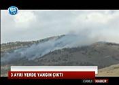 ESKİŞEHİR'DE ORMAN YANGINLARI 