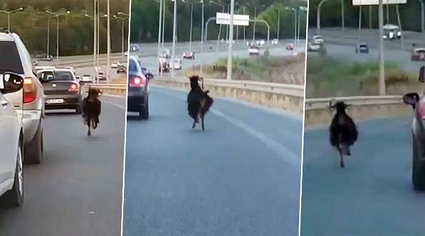 Otobanda trafiği alt üst etti!