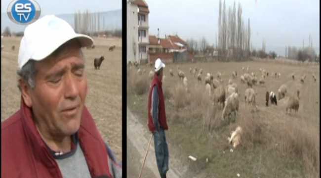 PARASI ÇOK, YAPAN YOK