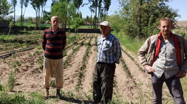 Patates ve fasulye gibi tarım alanlarında zarar oluştu