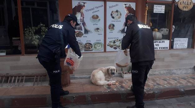 Polisler sokak hayvanlarını elleriyle besledi