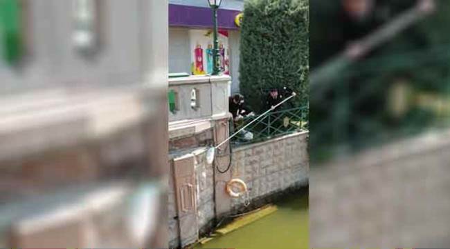 Porsuk'a düşen yavru kediyi kurtarma operasyonu