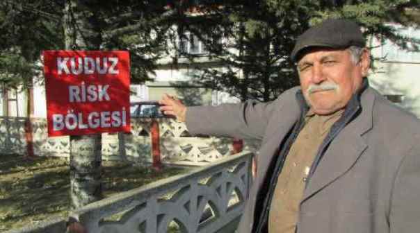 Sandıklı'da kuduz alarmı!