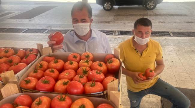 Sarıcakaya domatesi piyasayı rahatlattı