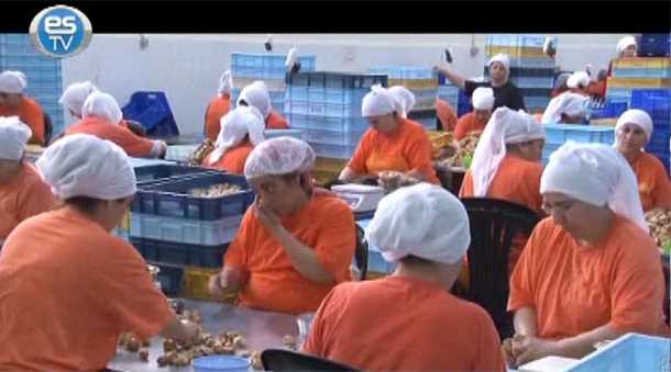 Sendika işçilerin hakkıdır