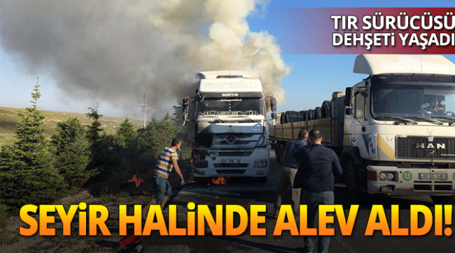 Seyir halindeki TIR alev alev yandı