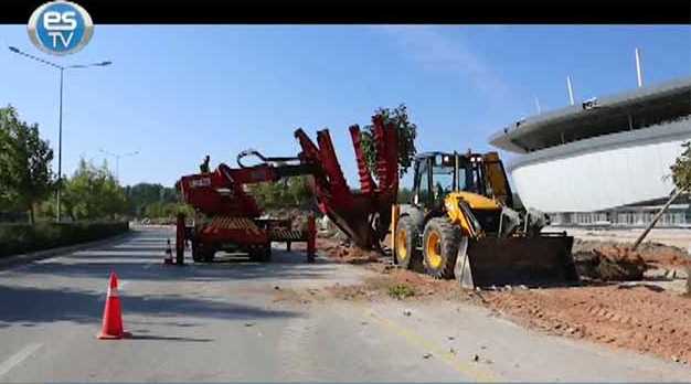 Sökülen ağaçlar park-bahçelere