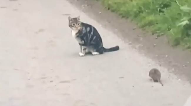 Sosyal medyayı sallayan görüntüler