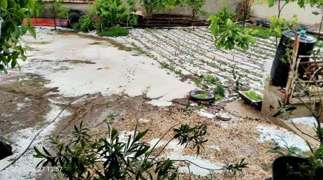 Tarım ürünlerini bu kez de dolu ve sağanak vurdu