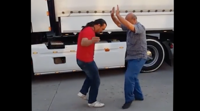 Tır şoförleri rekor kırıyor, Erik dalı gevrektir