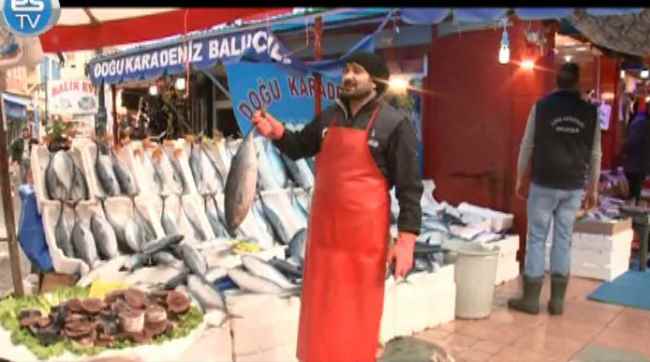 Ton balığına hücum