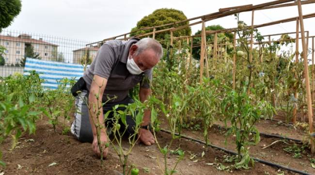 Toprağa dokunarak stres atıyorlar