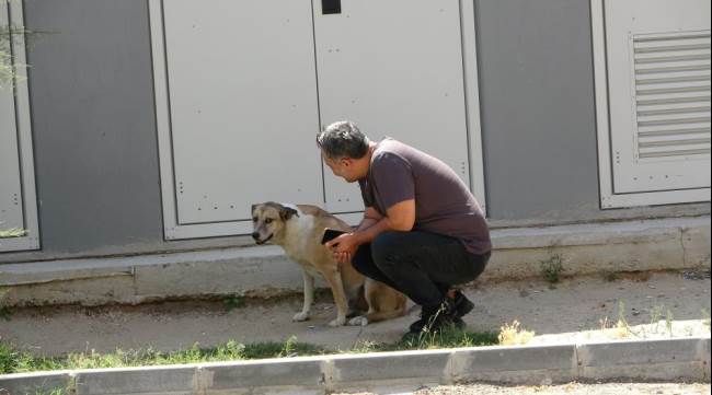 Türkiye "Daire 16"yı konuşuyor!