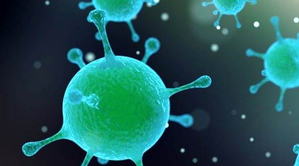 Türkiye’nin koronavirüsle imtihanı