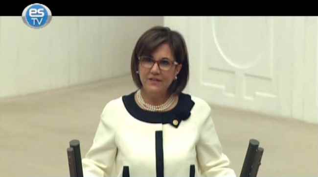 Üçüncü üniversite Meclis gündeminde