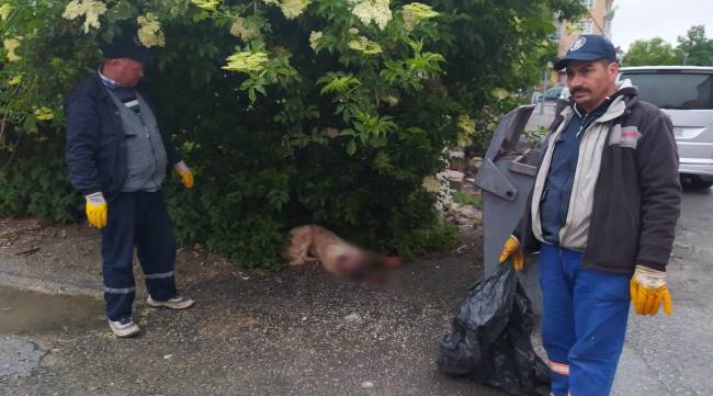 Vahşet ile ilgili 4 şüpheli yakalandı