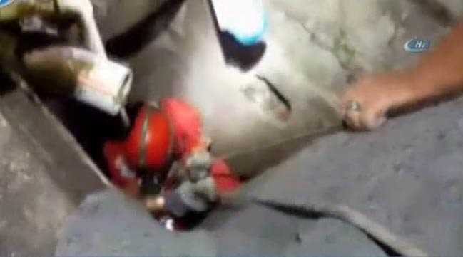 Yavru kediyi kurtarma operasyonu