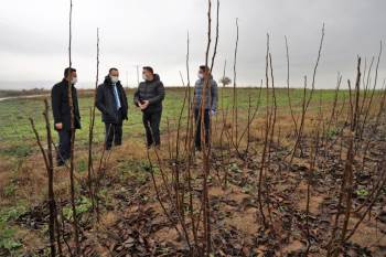 ’’Benim Projem Senin Projen’’ Kapsamında Ceviz Üretim Tesislerinde İnceleme
