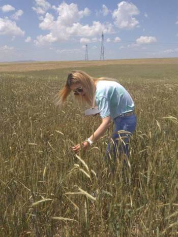 ’’Hayvancılıkta Maliyeti Azaltmanın En Önemli Yolu Yem Bitkisi Ekilişidir’’
