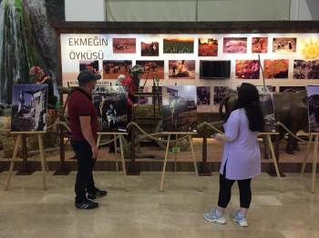 "6 Eylül Fotoğraf Sergisi’’ Ziyaretçilerini Ağırlıyor
