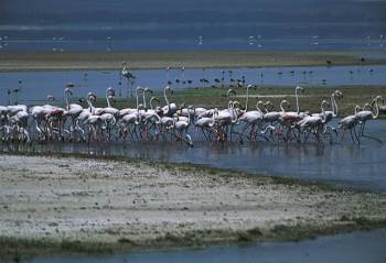 “Acıgöl” Kendine Hayran Bırakıyor
