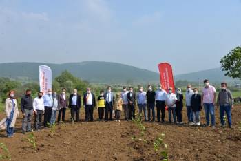 ’Aronya’ Bitkisi Üretimi Yaygınlaştırılacak
