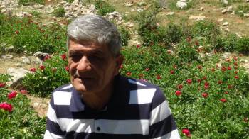 ’Ayı Gülü’ Çiçeğini Koparana 80 Bin 465 Lira Ceza Var
