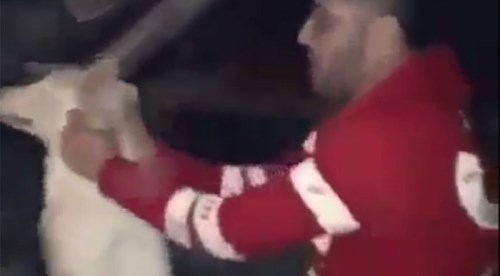 "Bursa'da köpeğe işkence" videosu Irak'tan çıktı!
