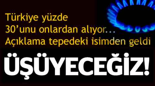 'Doğalgaz fiyatları artabilir'