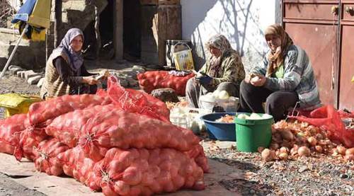 "Ekmeklerini" soğandan çıkarıyorlar