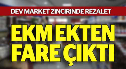 “Ekmekten çıkan fare” davası