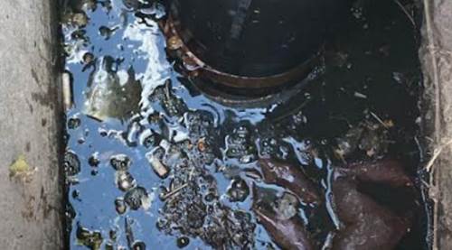 "Eskişehirlilerden ricamız..." diyerek paylaştılar