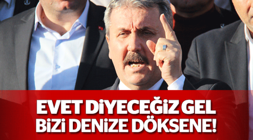 'Evet diyeceğiz bizi denize döksene'