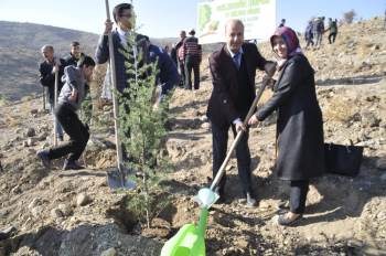 ‘Geleceğe Nefes’ İçin Senir Köyüne De Fidan Dikildi
