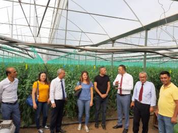 ’Gelin Kardeş Olalım’ Projesiyle Simav-Kemer Buluşması
