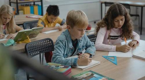 “Girdiler bir şey öğrenemeden gittiler" anlayışı okullara dert! 