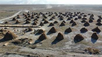 (Özel) 5 Aylık Kamış Sezonunda 1 Milyon Dolarlık İhracat Yapıyorlar
