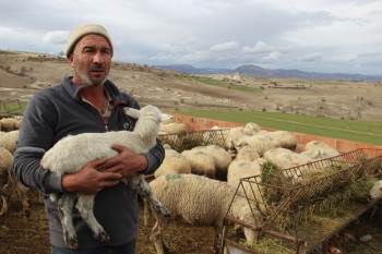 (Özel) Afyonkarahisar’In ‘Mandıra Filozofu’Na Korona Uğramıyor
