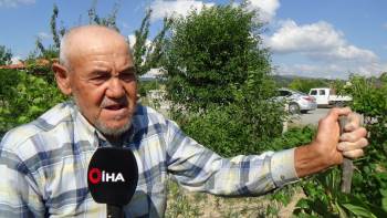 (Özel) Bu Bahçedeki Ekili Dikili Her Şey Helal
