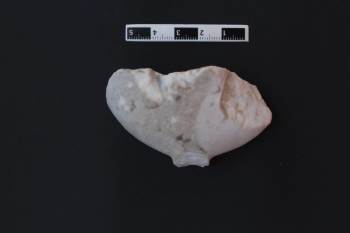 (Özel) Bu Mağarada Çıkan Bulguların Tarihi Göbeklitepe’Den Daha Eski
